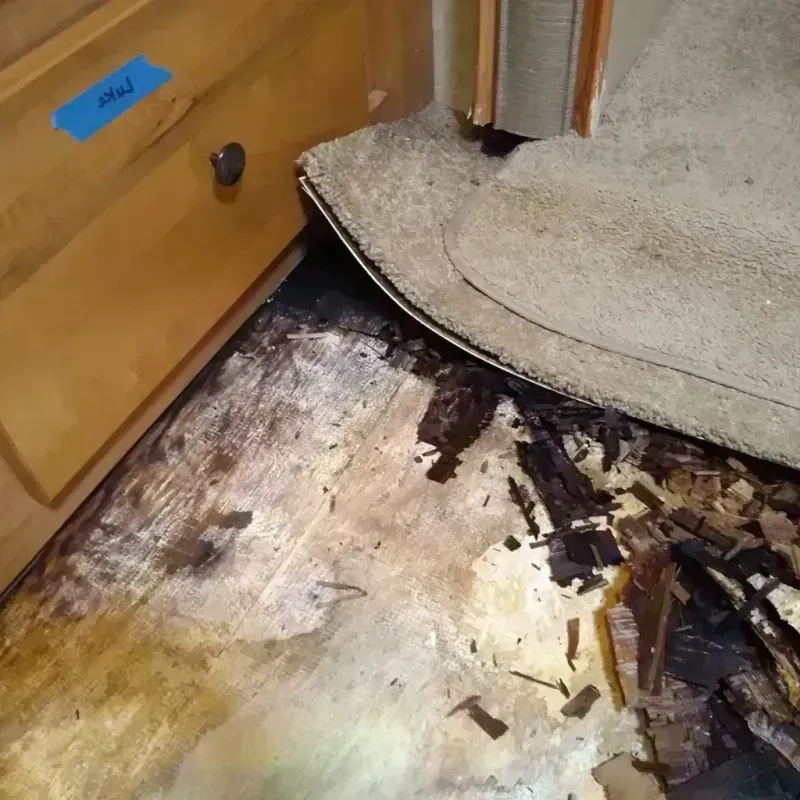 Wood Floor Water Damage in Lake Hamilton, FL